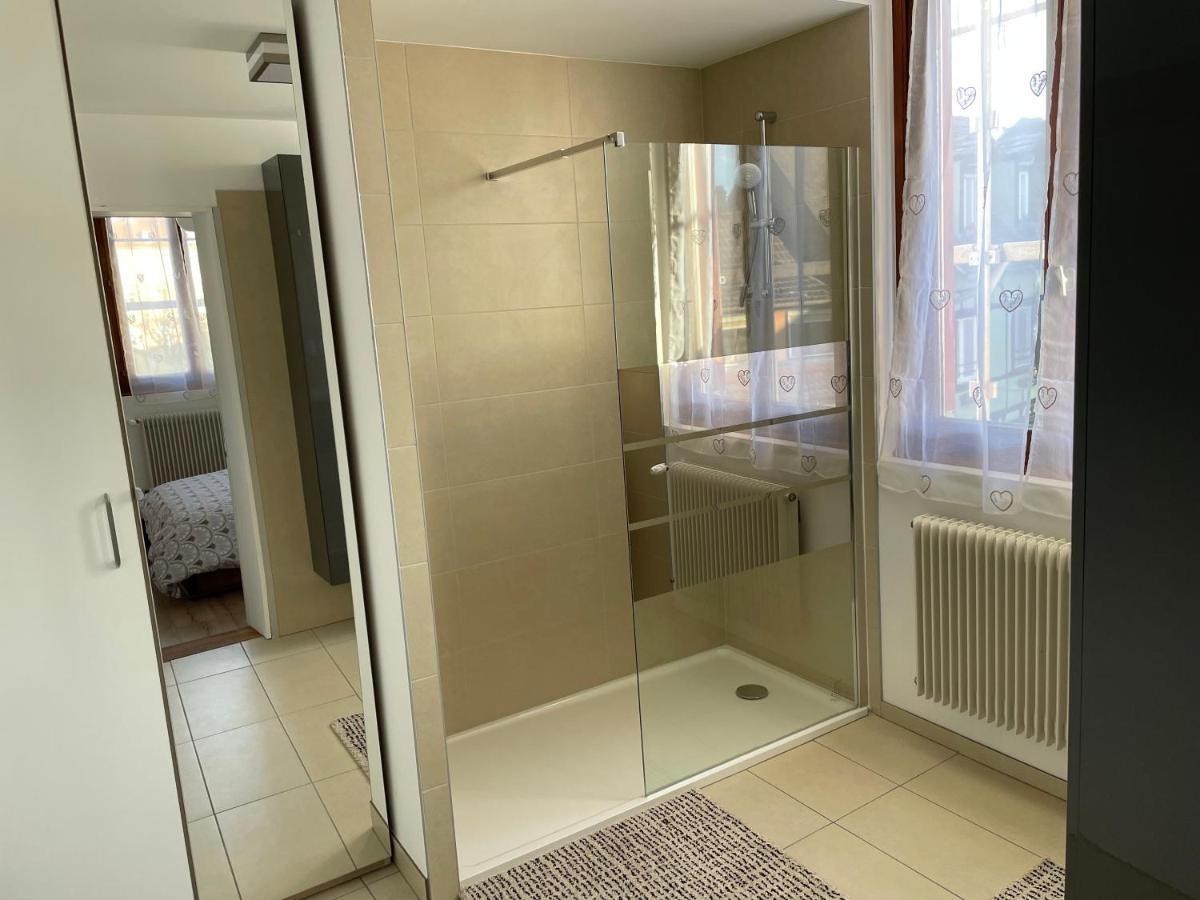 Appartement Le Fil D'Or Colmar Buitenkant foto